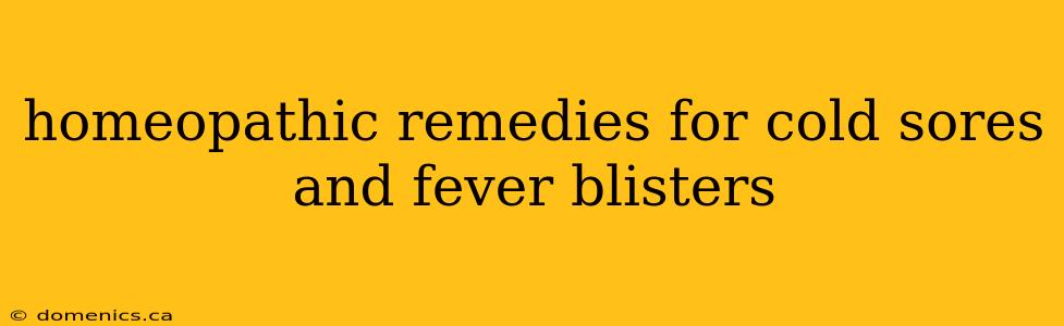 homeopathic remedies for cold sores and fever blisters