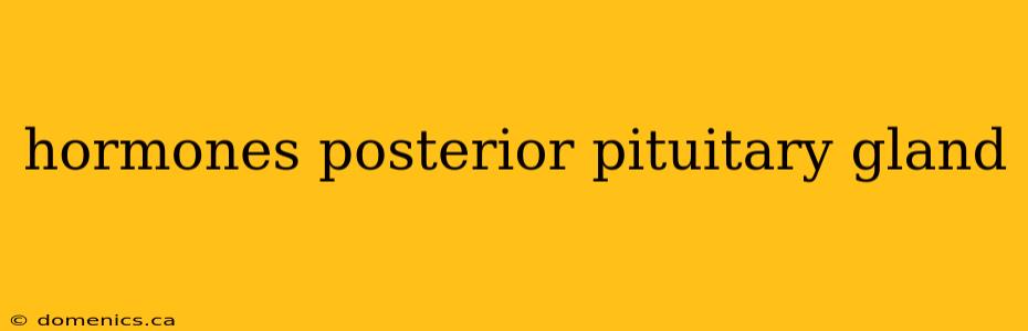 hormones posterior pituitary gland