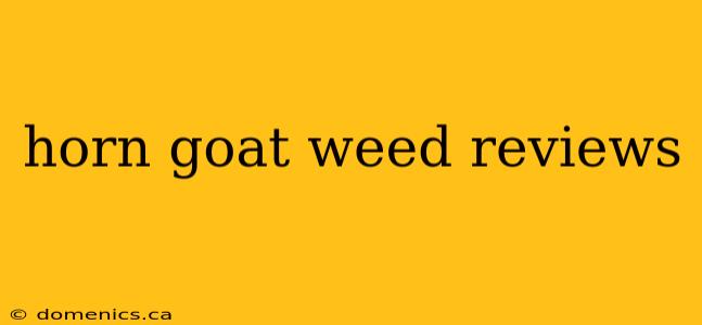 horn goat weed reviews