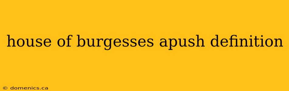 house of burgesses apush definition