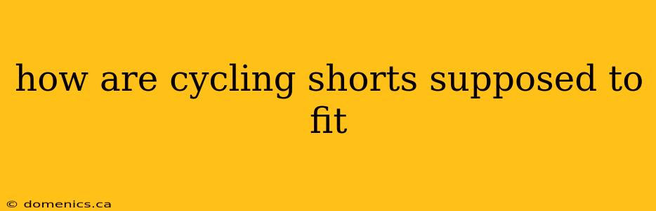 how are cycling shorts supposed to fit