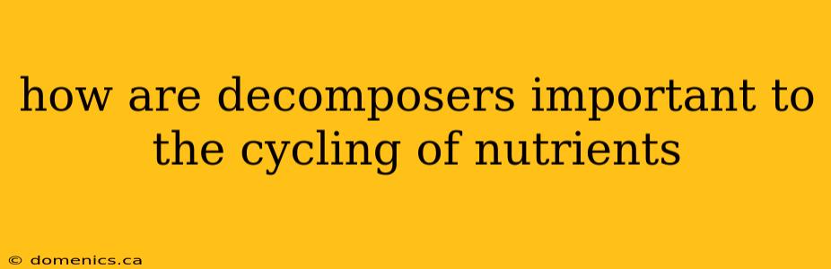 how are decomposers important to the cycling of nutrients