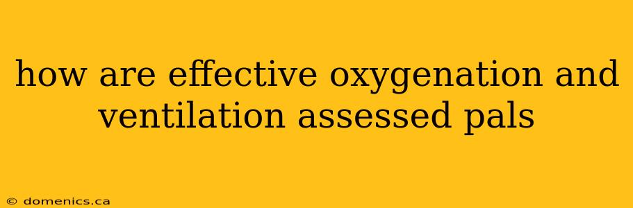 how are effective oxygenation and ventilation assessed pals