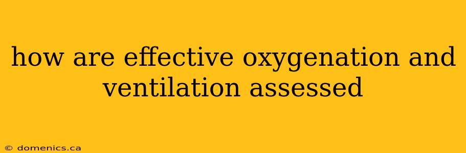 how are effective oxygenation and ventilation assessed
