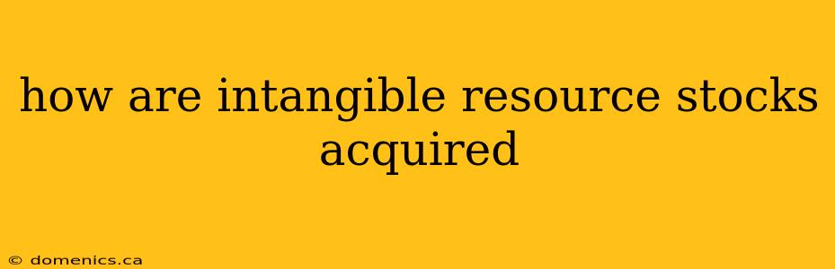 how are intangible resource stocks acquired