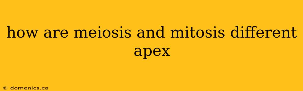 how are meiosis and mitosis different apex