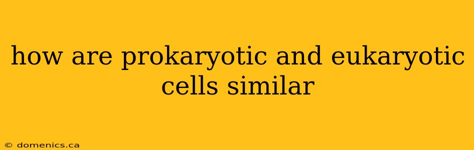 how are prokaryotic and eukaryotic cells similar