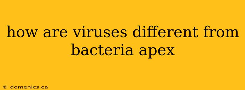 how are viruses different from bacteria apex