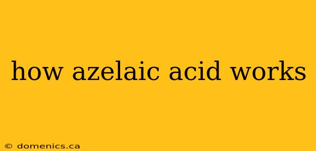 how azelaic acid works