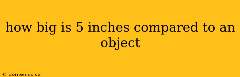 how big is 5 inches compared to an object