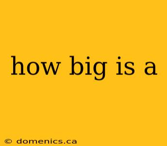 how big is a