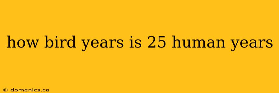 how bird years is 25 human years