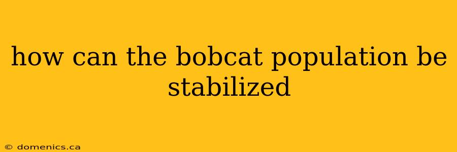 how can the bobcat population be stabilized