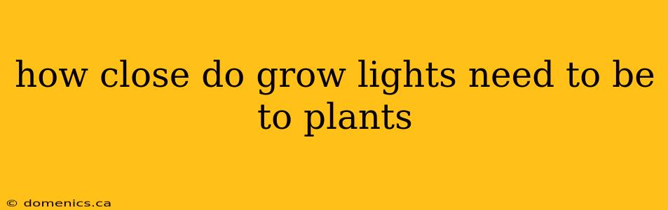 how close do grow lights need to be to plants