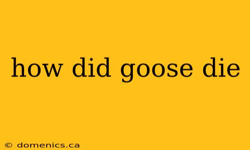 how did goose die