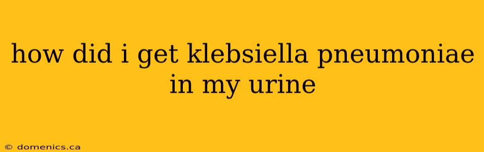 how did i get klebsiella pneumoniae in my urine