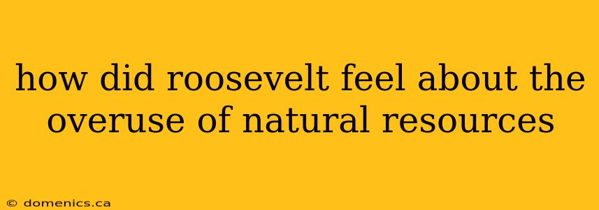 how did roosevelt feel about the overuse of natural resources