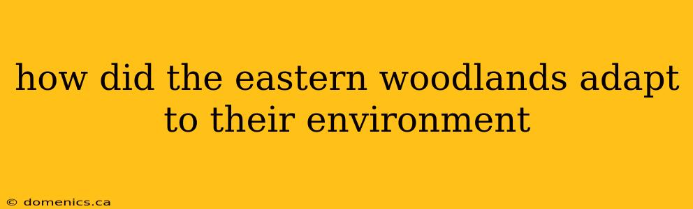 how did the eastern woodlands adapt to their environment