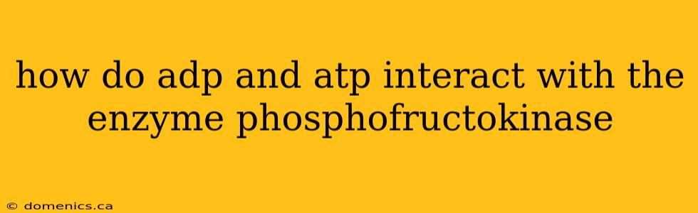 how do adp and atp interact with the enzyme phosphofructokinase