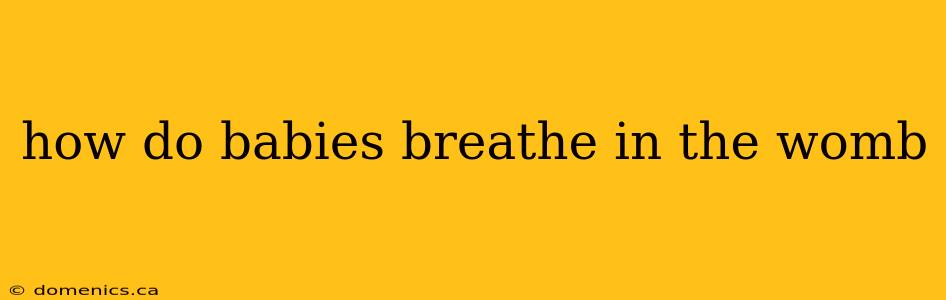 how do babies breathe in the womb