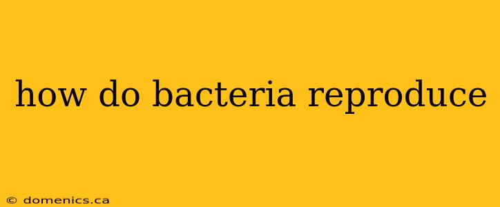 how do bacteria reproduce