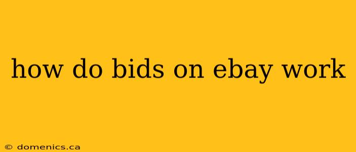 how do bids on ebay work