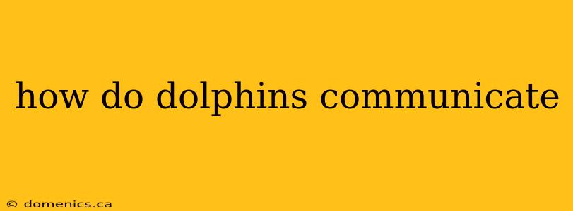 how do dolphins communicate