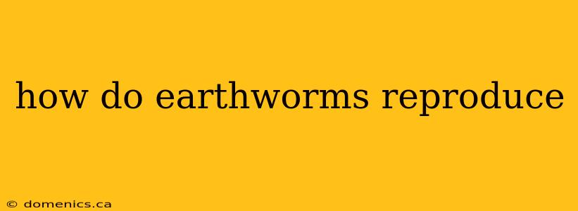 how do earthworms reproduce