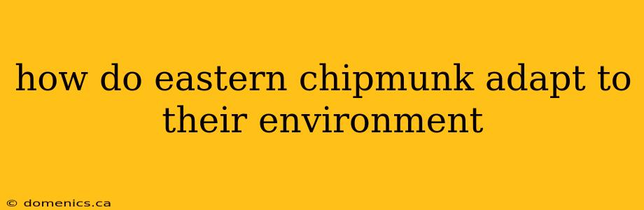 how do eastern chipmunk adapt to their environment