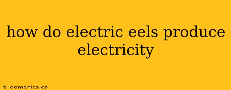 how do electric eels produce electricity