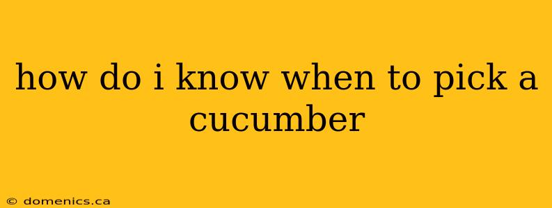 how do i know when to pick a cucumber