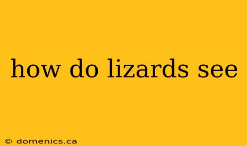 how do lizards see