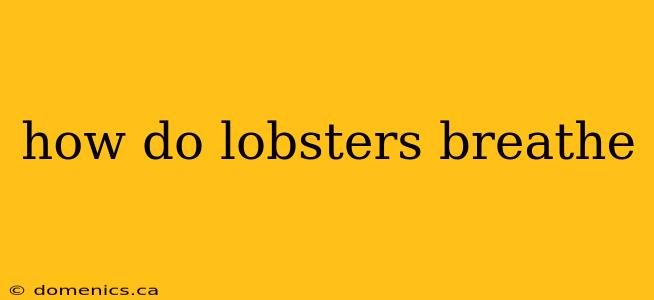 how do lobsters breathe