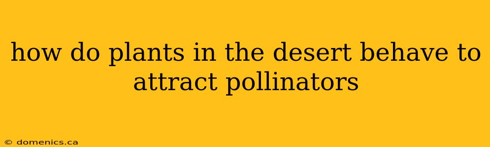 how do plants in the desert behave to attract pollinators