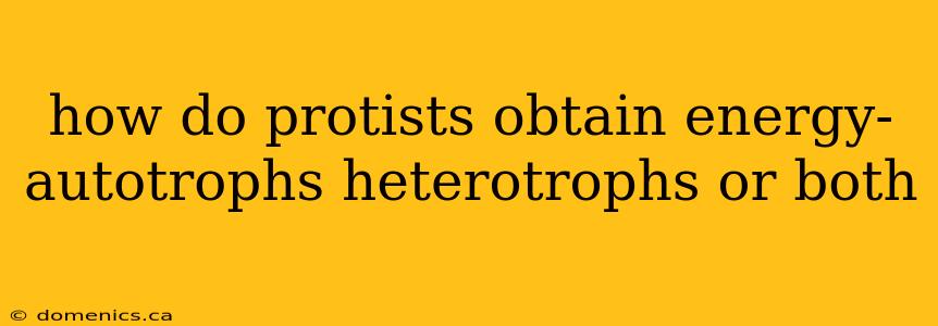 how do protists obtain energy- autotrophs heterotrophs or both