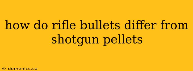 how do rifle bullets differ from shotgun pellets