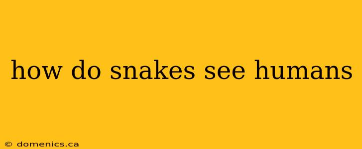 how do snakes see humans