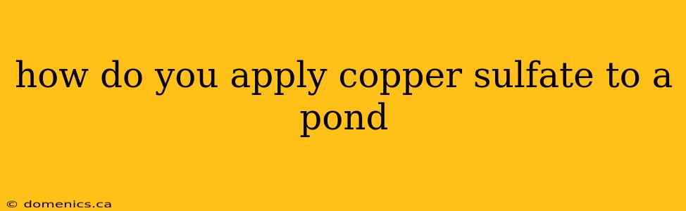 how do you apply copper sulfate to a pond