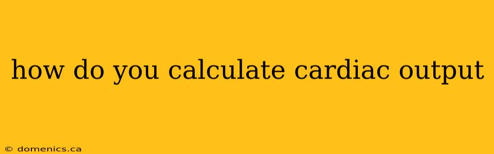 how do you calculate cardiac output