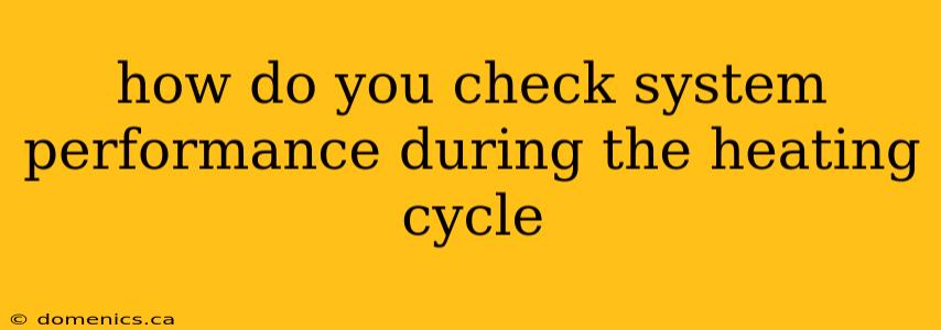 how do you check system performance during the heating cycle