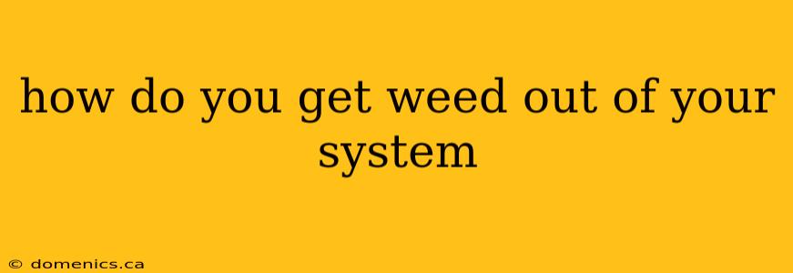 how do you get weed out of your system