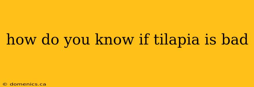 how do you know if tilapia is bad