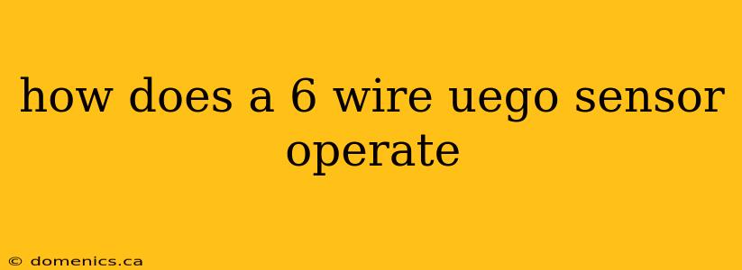 how does a 6 wire uego sensor operate