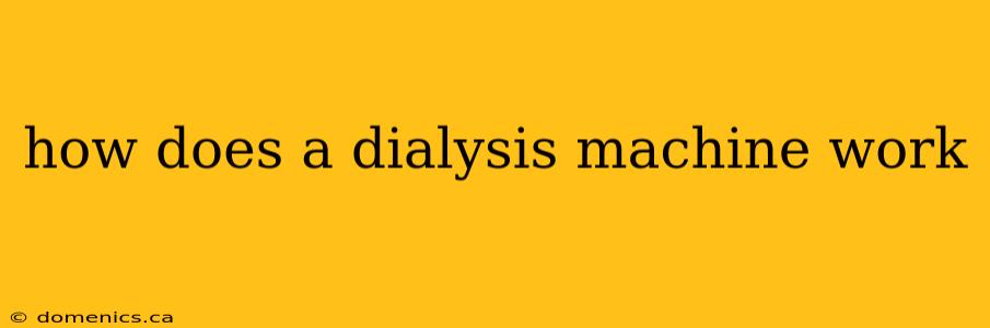 how does a dialysis machine work