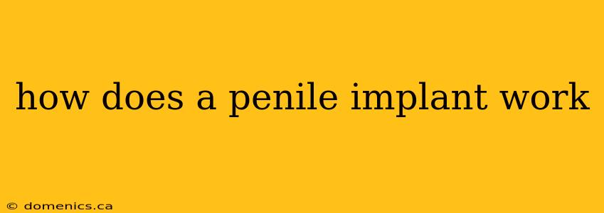 how does a penile implant work