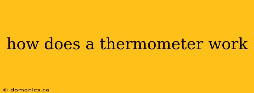 how does a thermometer work