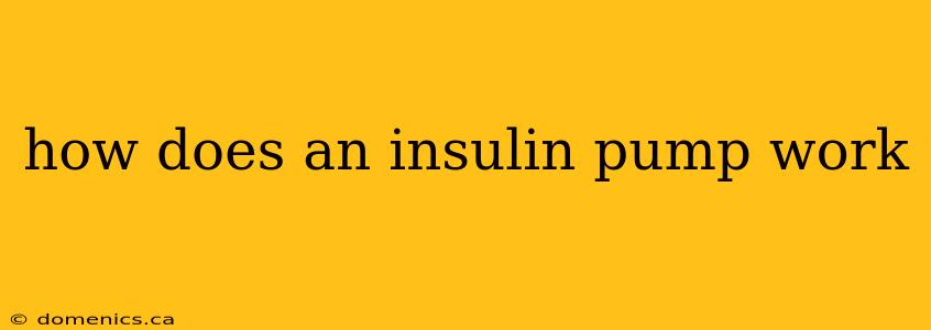 how does an insulin pump work