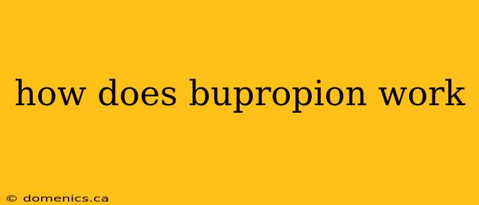 how does bupropion work