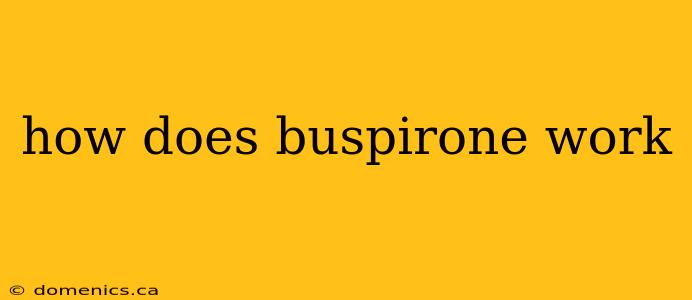 how does buspirone work