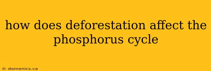 how does deforestation affect the phosphorus cycle